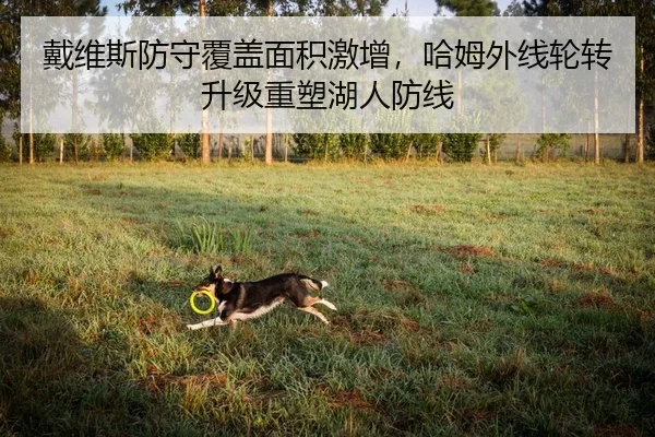 戴维斯防守覆盖面积激增，哈姆外线轮转升级重塑湖人防线